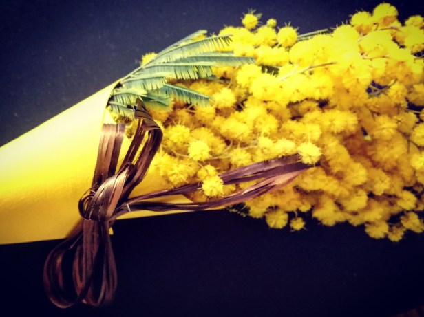 IMG_20190308_115222_381